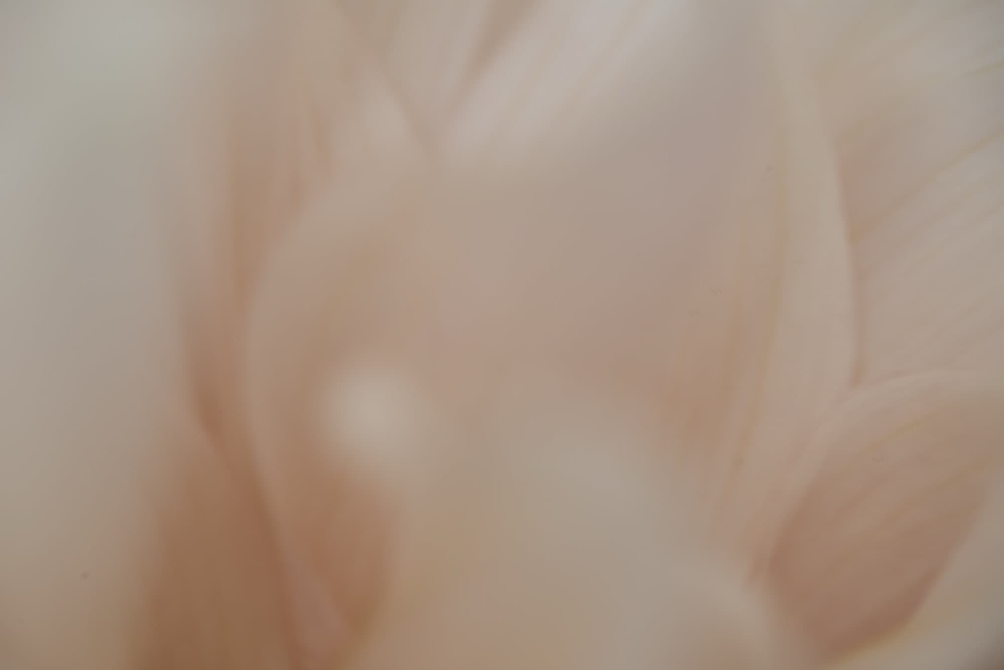 Process, artwork