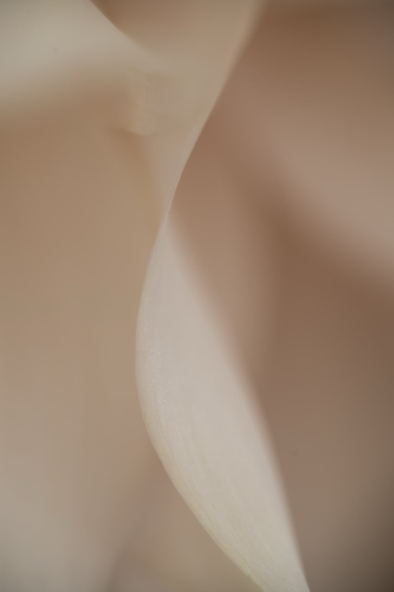 Undulate, artwork