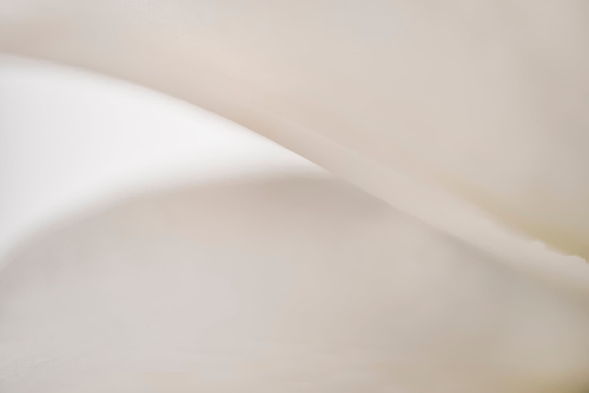 Wave, artwork