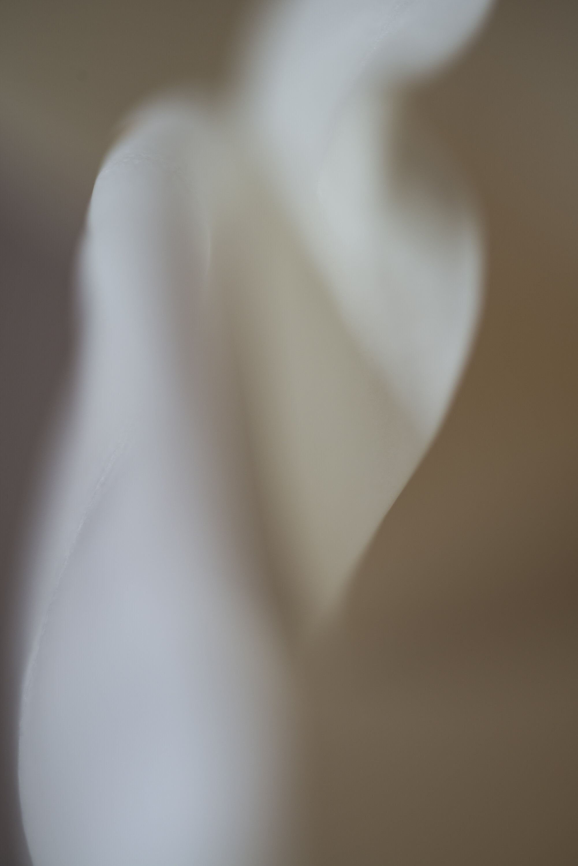 The Maiden