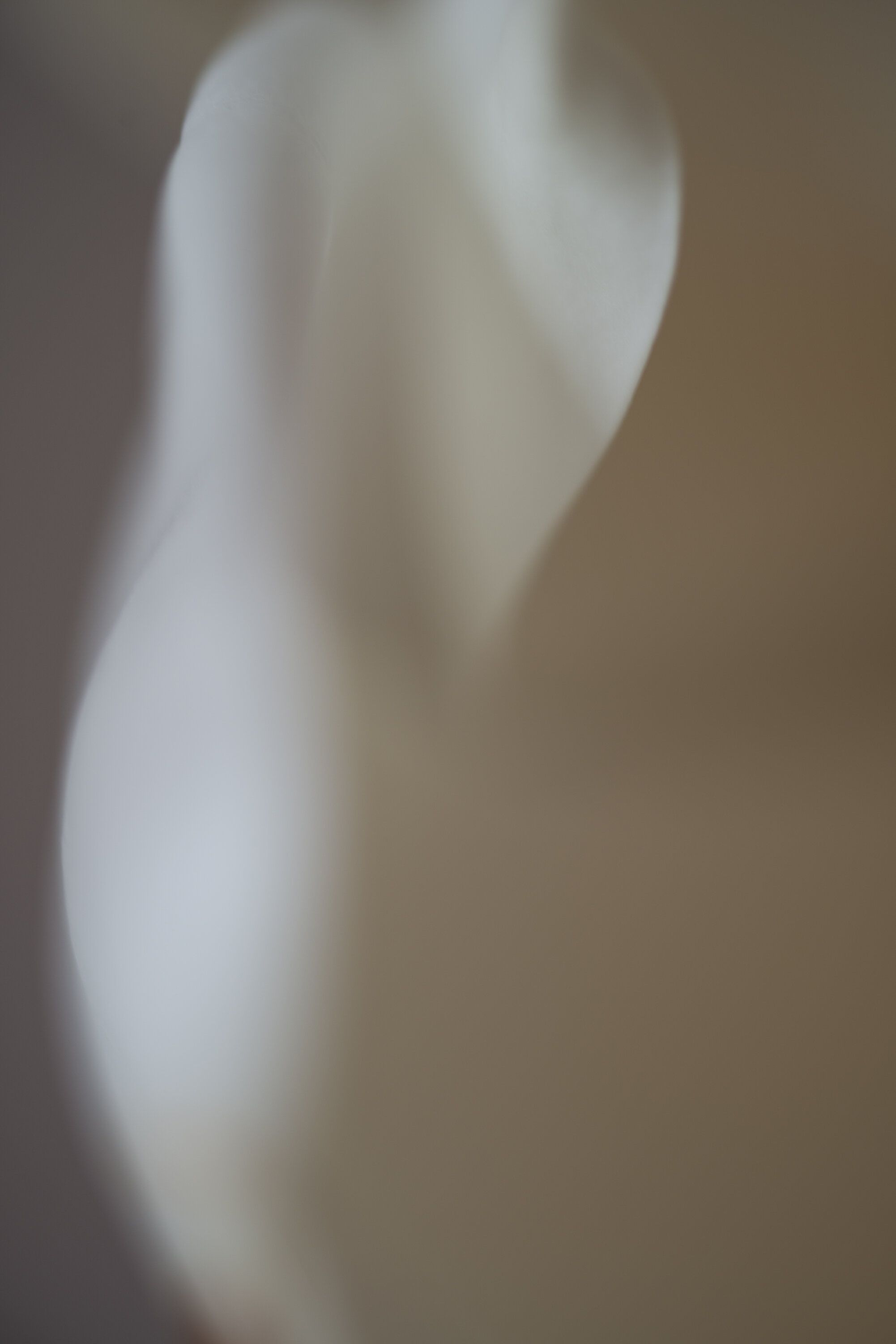 Undulate IV