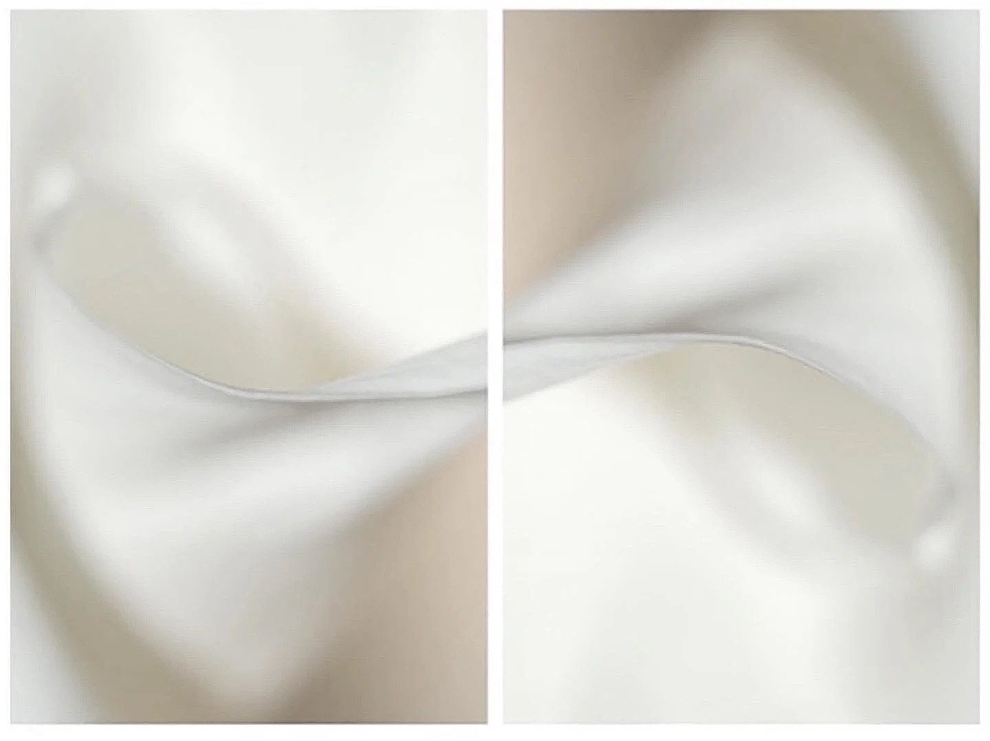 Two white petal studies side by side